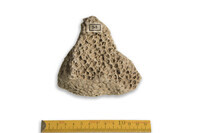 F 00053
<br/>
<br/>
<em></em>